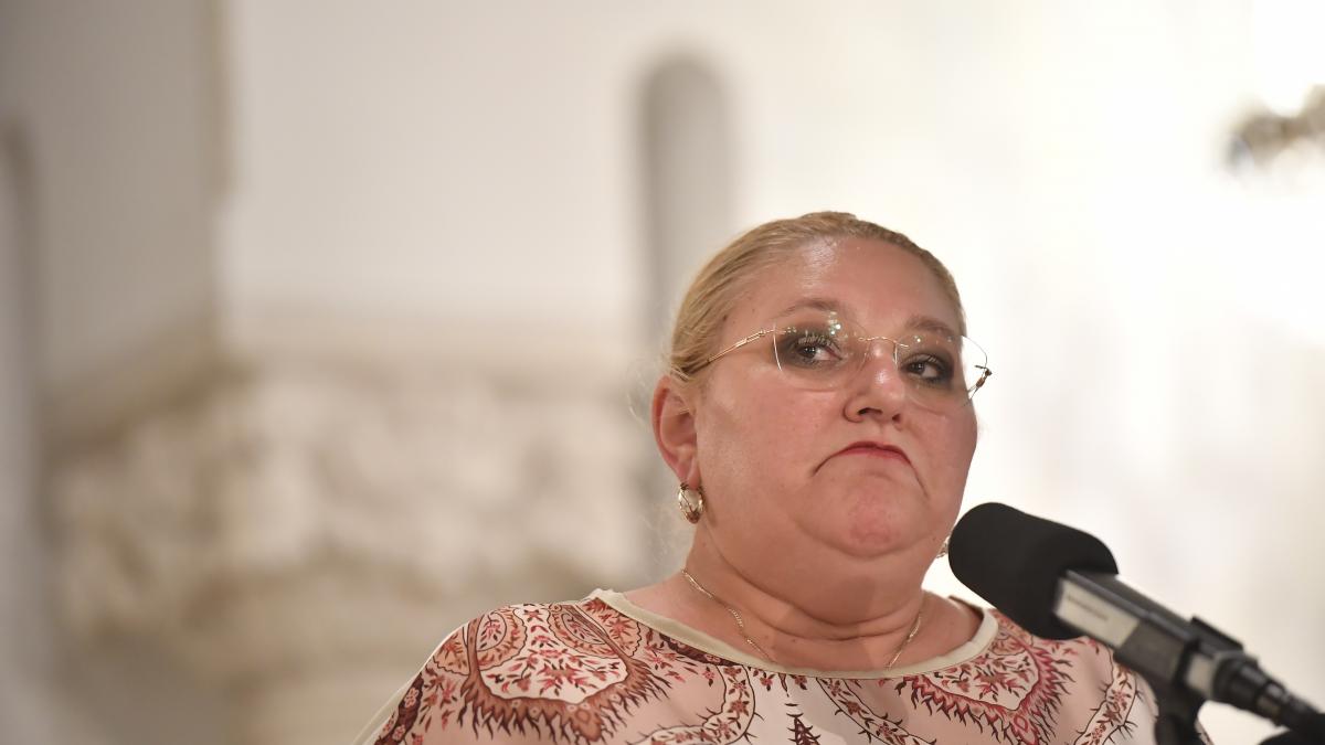 Diana Sosoca a fost denuntata la Parchetul General pentru tradare de tara Este subordonata unei1786040077
