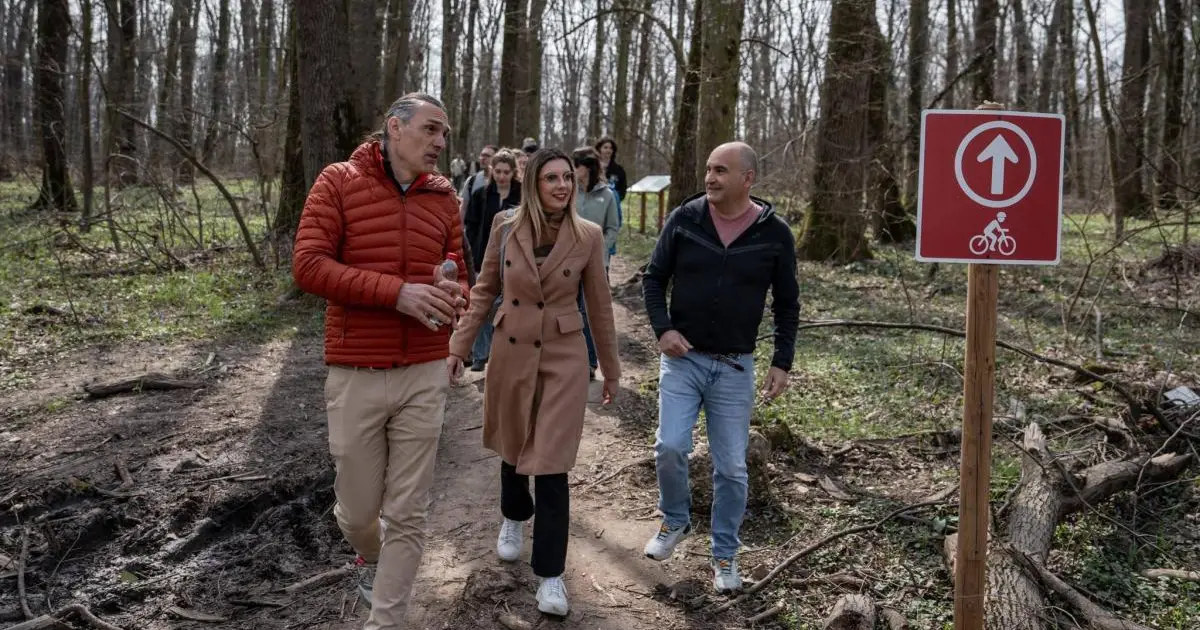Diana Buzoianu: Romsilva „mimează” apărarea pădurilor în scandalul Băneasa 2 Diana Buzoianu: Romsilva „mimează” apărarea pădurilor în scandalul Băneasa