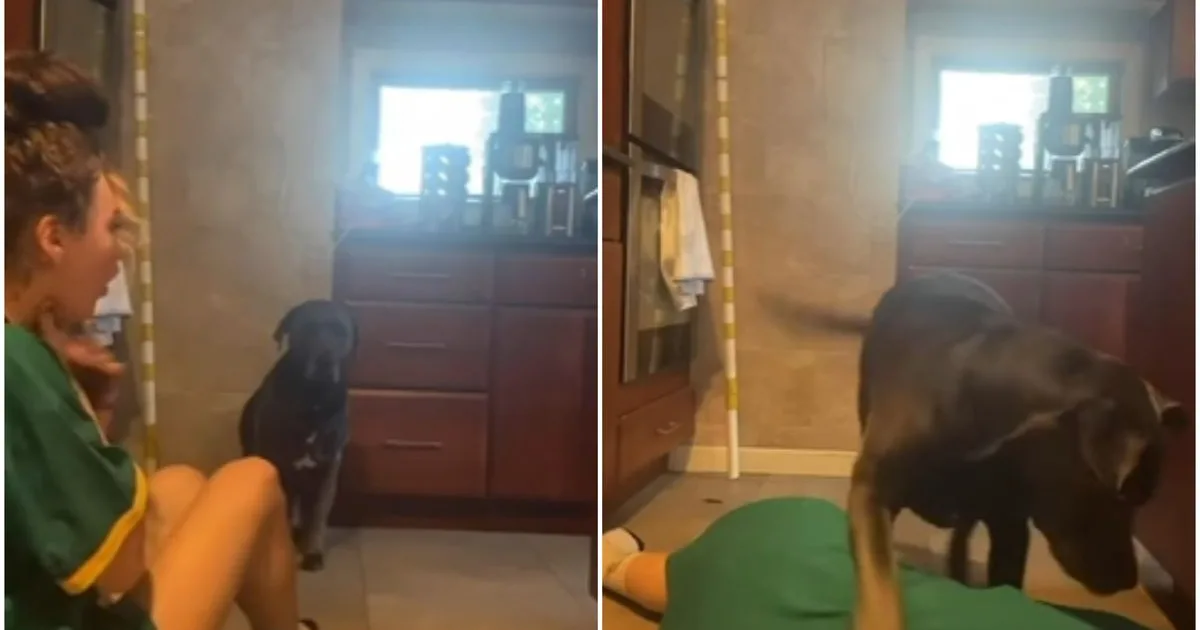 Un videoclip surprinde reacția unui câine când stăpâna lui s-a prefăcut că se sufocă 2 Un videoclip surprinde reacția unui câine când stăpâna lui s-a prefăcut că se sufocă