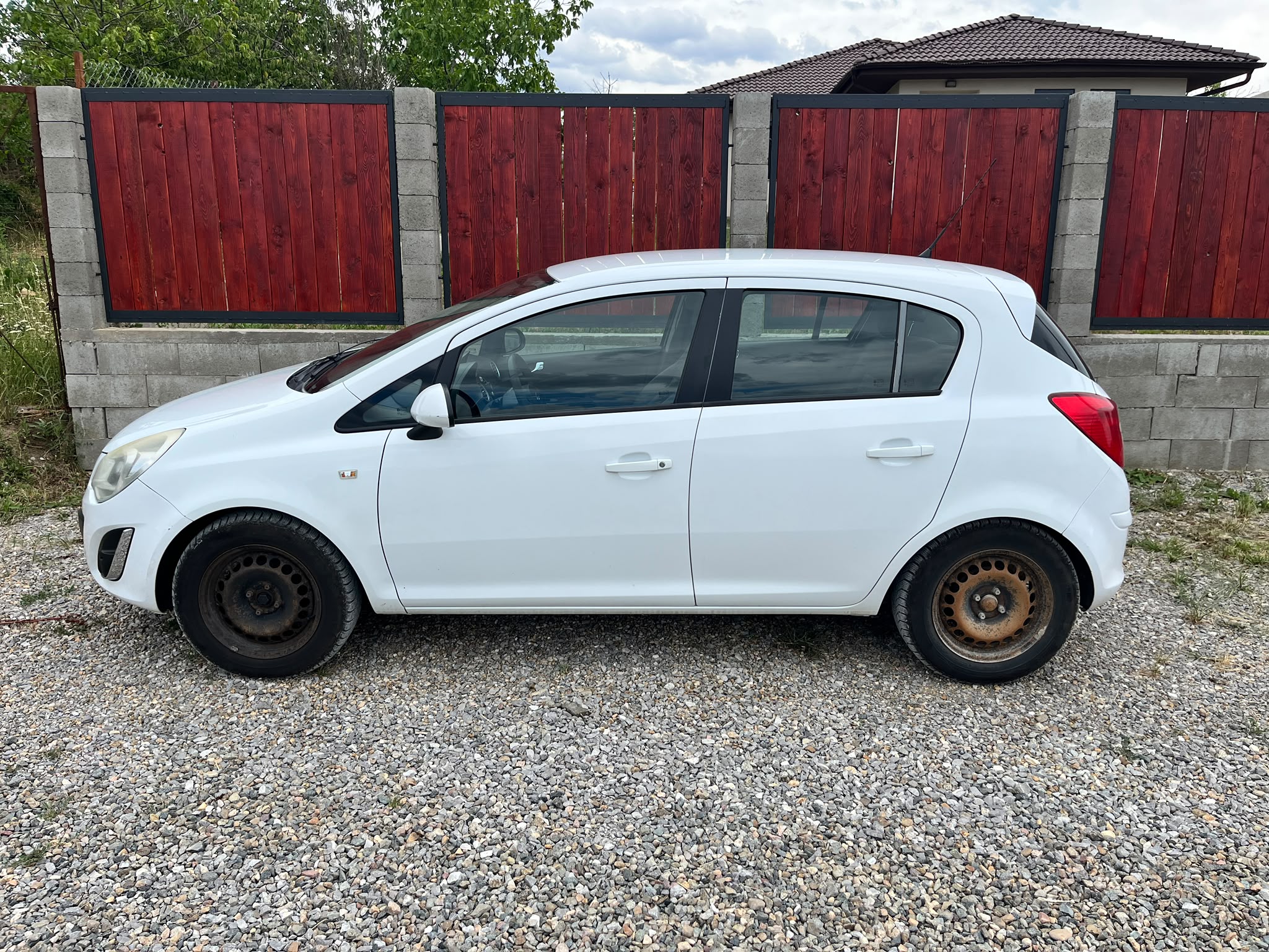 Vanzare BUNURI 3 1 3